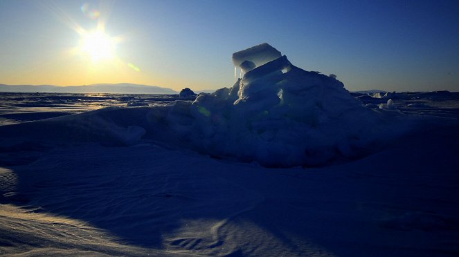 Az Északi-sarkkör vadvilága - Filmfotók