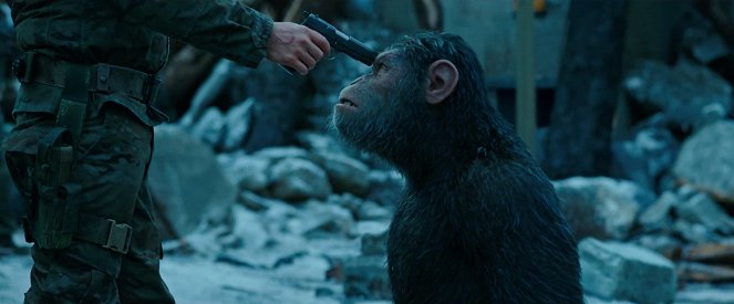 La Planète des Singes : Suprématie - Film