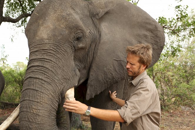 Terra X: Wie Elefanten denken - Filmfotos