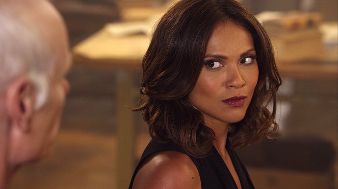 The Librarians - And the Loom of Fate - Photos - Lesley-Ann Brandt