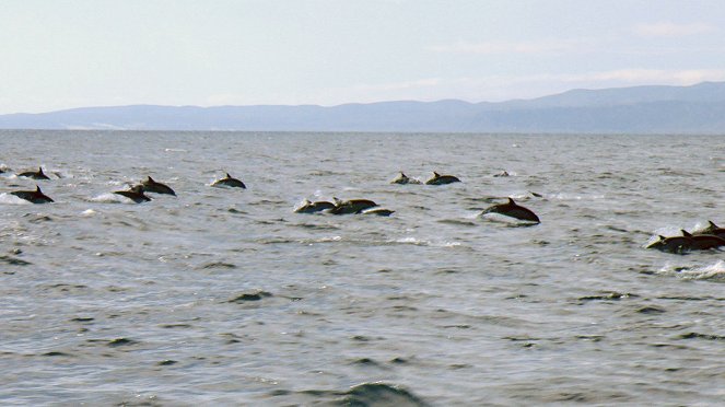 Les Galapagos de Californie - Kuvat elokuvasta