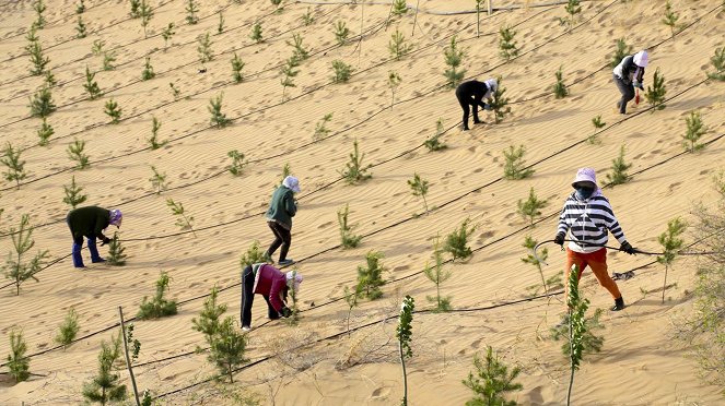 Planet Sand - China – Der Kampf gegen den „Gelben Drachen" - Filmfotos