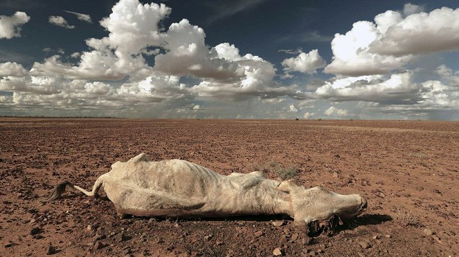 Planète sable - Australie, le continent désert - Film