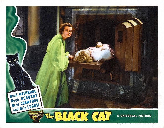 The Black Cat - Vitrinfotók