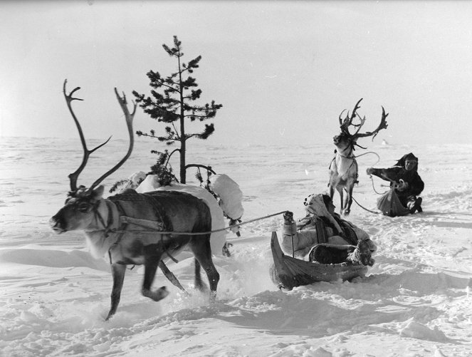 The White Reindeer - Photos - Mirjami Kuosmanen, Kalervo Nissilä