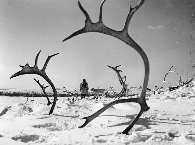 A fehér rénszarvas - Filmfotók - Mirjami Kuosmanen