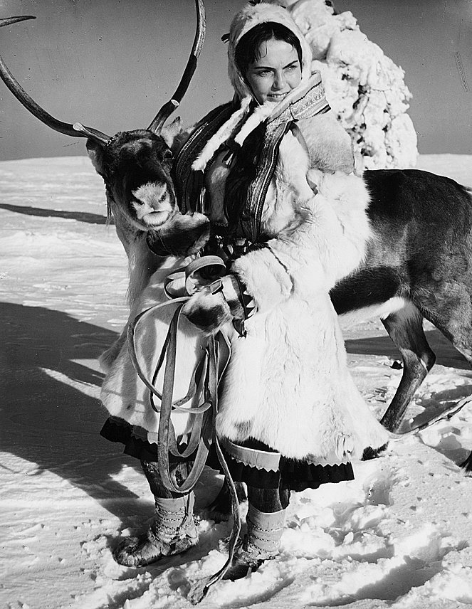 The White Reindeer - Photos - Mirjami Kuosmanen
