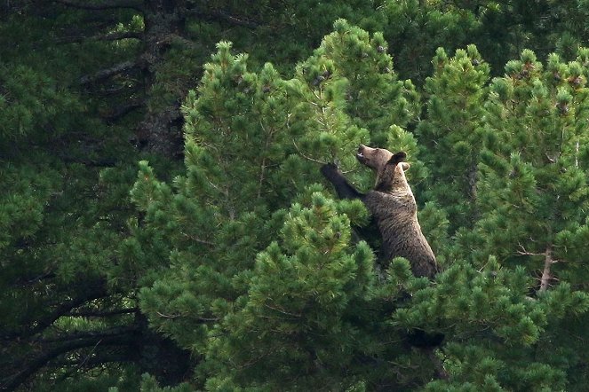 The Tatra Mountains: Wild at Heart - Photos