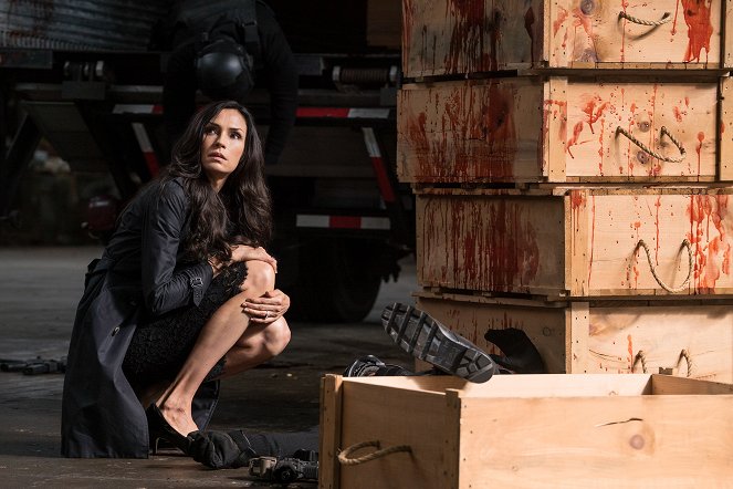 The Blacklist - Susan Hargrave (No. 18) - Van film - Famke Janssen