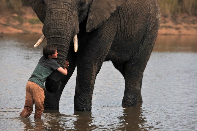 Kleine Helden, große Wildnis 2 - Abenteuer Serengeti - Filmfotos - John Paul Ruttan