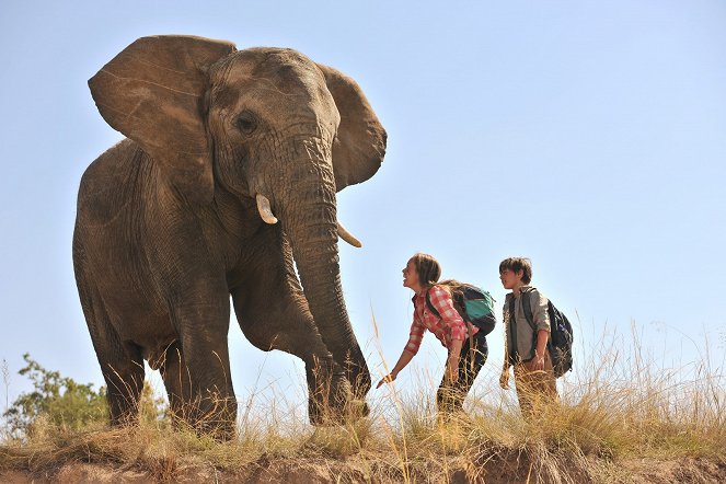 Against the Wild 2: Survive the Serengeti - Van film