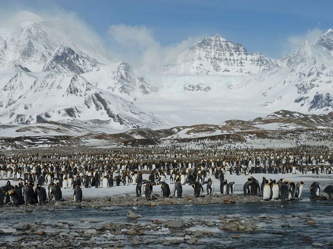 Pingvinek királysága - Filmfotók