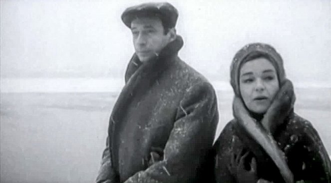 Yves Montand, l'ombre au tableau - Film - Yves Montand, Simone Signoret