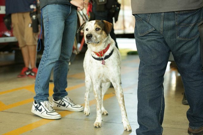 Lángoló Chicago - Őrült férfiak - Filmfotók