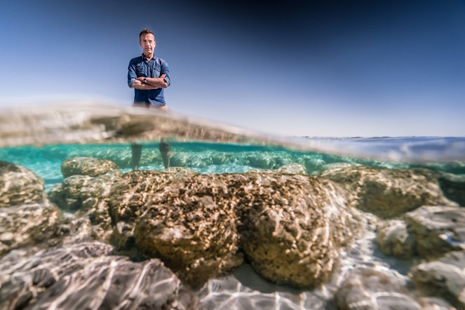Terra X: Faszination Erde - mit Dirk Steffens: Australien – eine unendliche Geschichte - Photos - Dirk Steffens