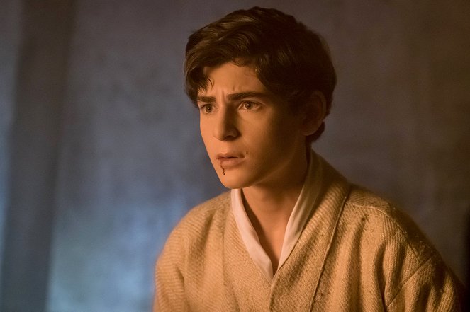 Gotham - Heroes Rise: These Delicate and Dark Obsessions - Van film - David Mazouz