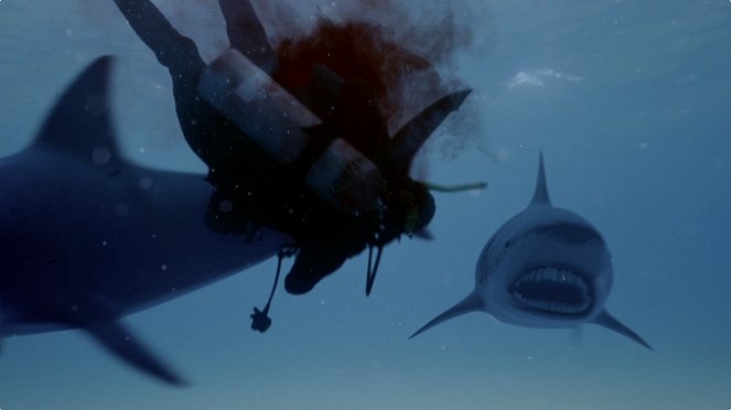 Žraločí jezero - Z filmu
