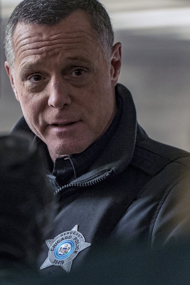Policie Chicago - Favor, Affection, Malice or Ill-Will - Z filmu - Jason Beghe