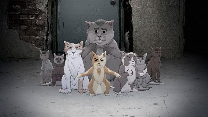 Animals. - Cats. Part I. - Film