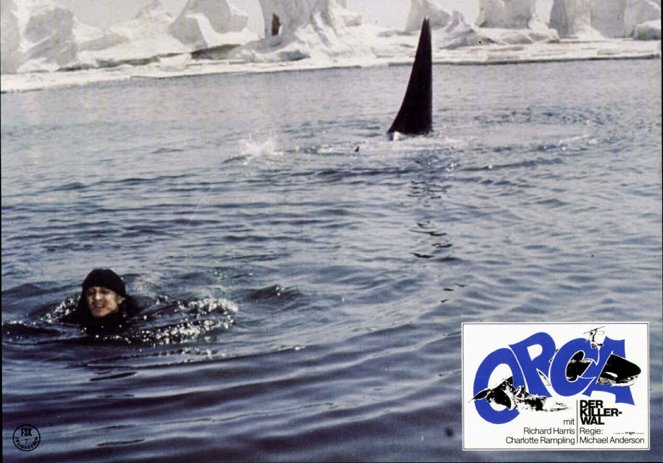 Orca: Killer Whale - Lobbykaarten