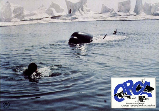 Orca, la ballena asesina - Fotocromos