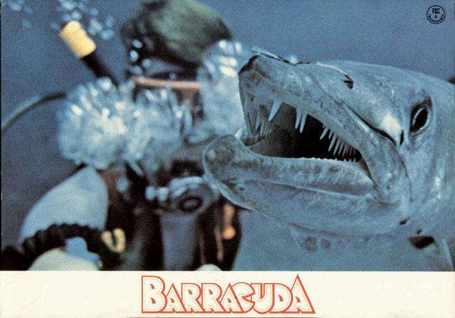 Barracuda - O Terror dos Mares - Cartões lobby