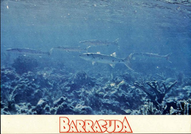 Barracuda - syvyyksien paholainen - Mainoskuvat