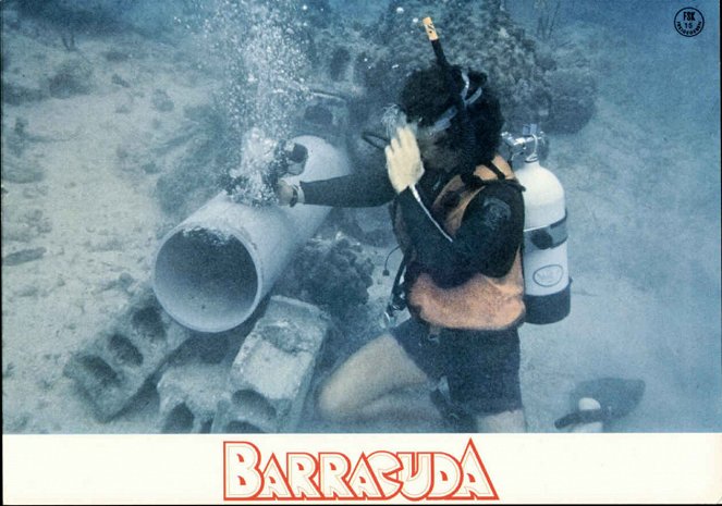 Barracuda - Vitrinfotók
