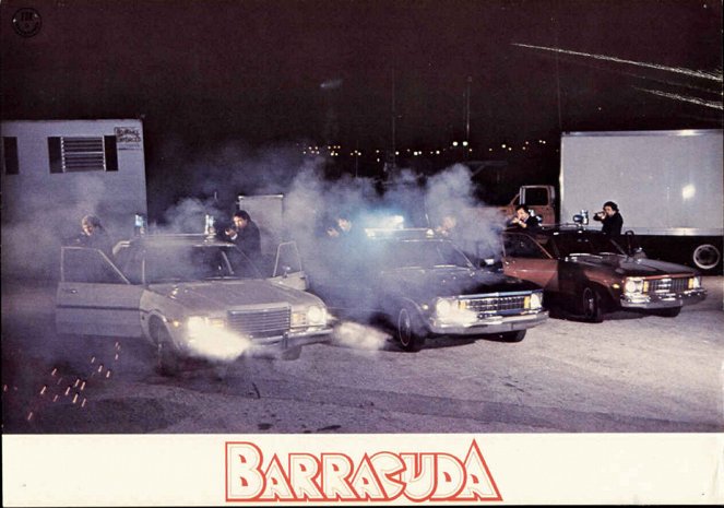 Barracuda - Fotosky