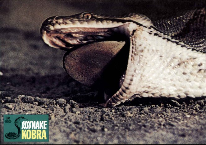 Snake Kobra - Lobbykarten