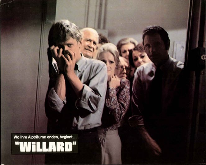 Willard - Lobby Cards - Bruce Davison, Sondra Locke, Michael Dante