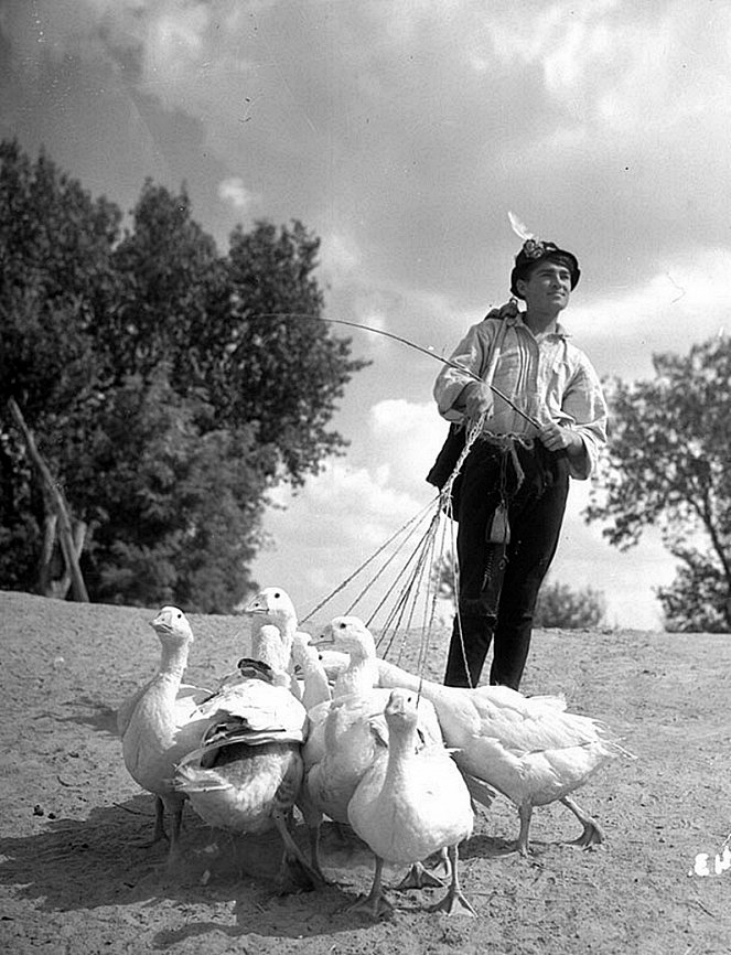 Mattie the Goose-Boy - Photos - Imre Soós