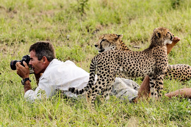 The Natural World - Season 35 - Cheetahs - Growing Up Fast - Van film
