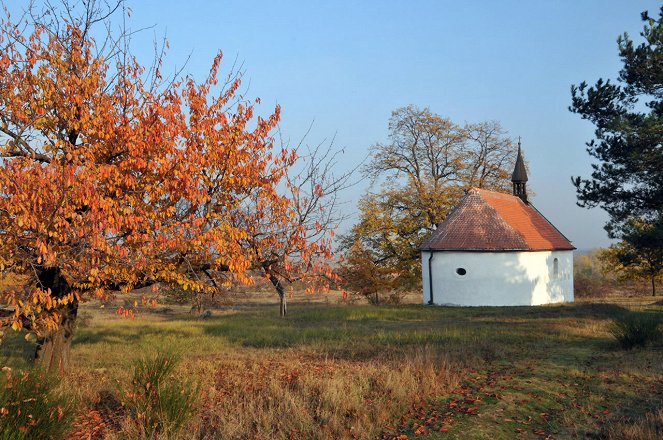 Obrázky z Podyjí - Photos