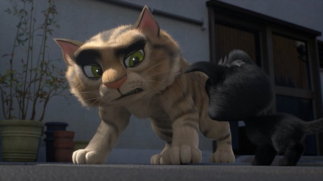 Gatos. Un viaje de vuelta a casa - De la película