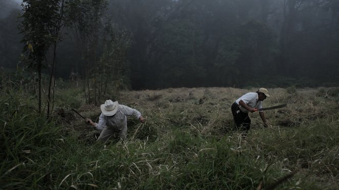 Bosque de niebla - Kuvat elokuvasta