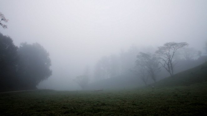 Bosque de niebla - De la película