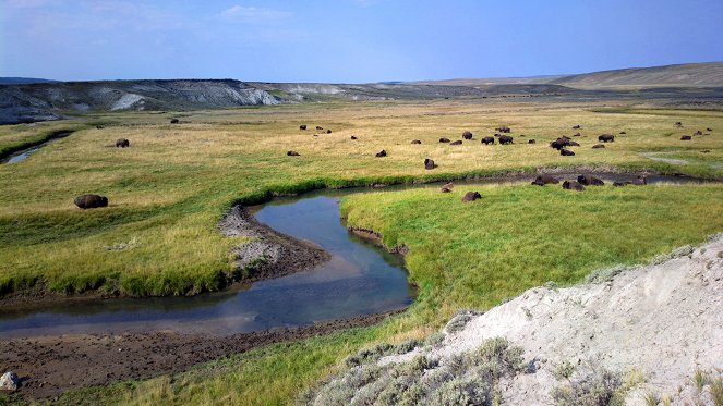 America's National Parks - Yellowstone - Photos