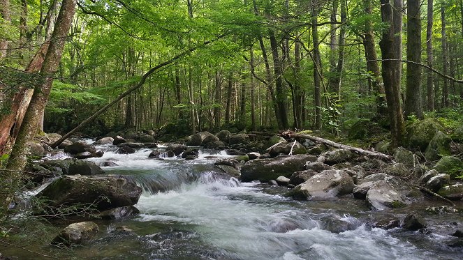 Amerikas Naturwunder - Smoky Mountains - Do filme