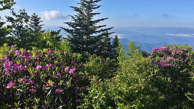 Amerika nemzeti parkjai - Great Smoky Mountains - Filmfotók