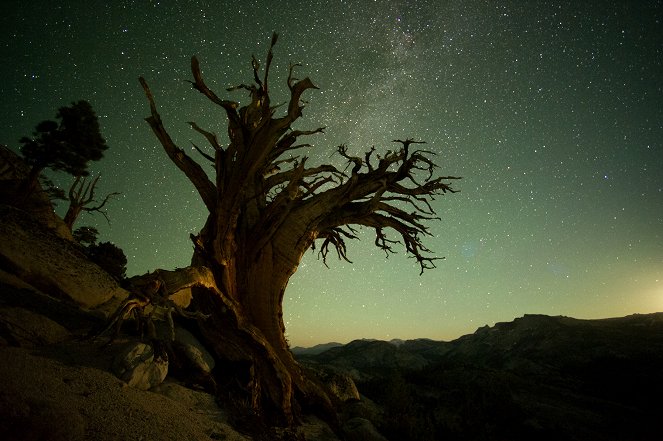 Amerikas Naturwunder - Yosemite - Filmfotos