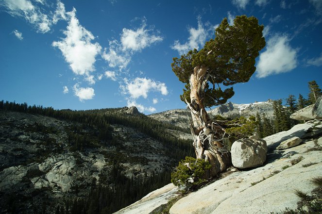 Americké národné parky - Yosemite - Z filmu