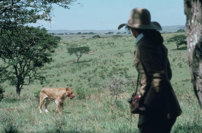 Out of Africa - Photos