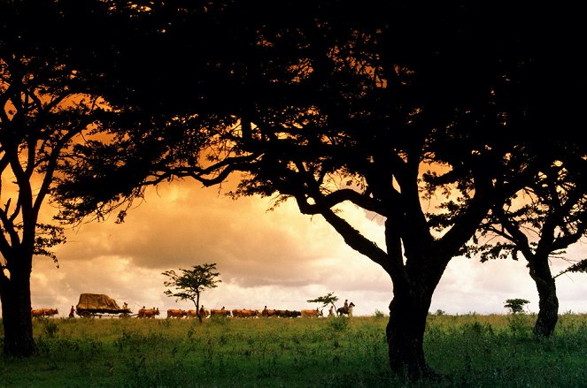 Távol Afrikától - Filmfotók