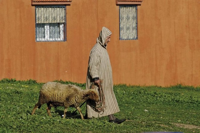 Boszporusz felett a híd - Photos