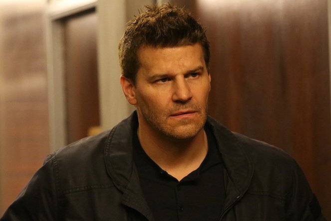 Ossos - The Murder in the Middle East - Do filme - David Boreanaz
