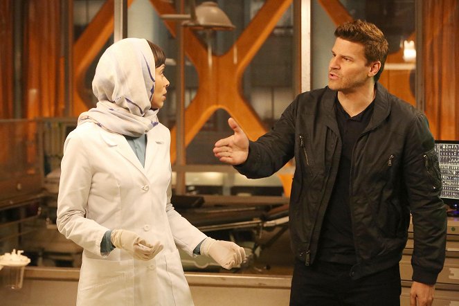 Ossos - The Murder in the Middle East - Do filme - David Boreanaz