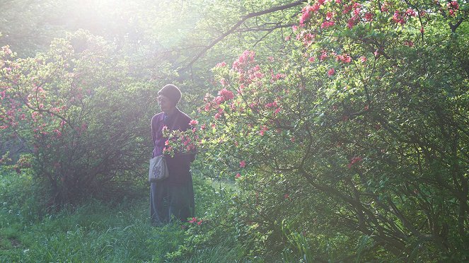 Kirschblüten und rote Bohnen - Filmfotos