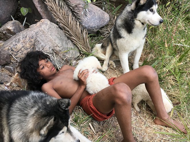 Mowgli et les enfants sauvages - Film