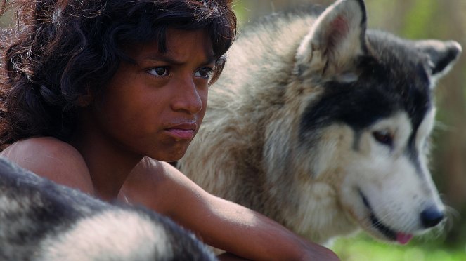 Terra X: Mythos Wolfskind - Mogli und die wilden Kinder - Van film